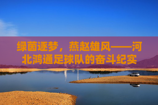 绿茵逐梦，燕赵雄风——河北鸿通足球队的奋斗纪实