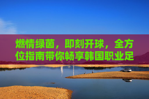 燃情绿茵,即刻开球,全方位指南带你畅享韩国职业足球联赛直播