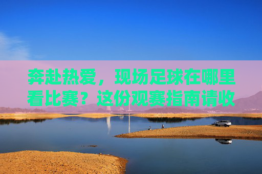 奔赴热爱,现场足球在哪里看比赛?这份观赛指南请收好