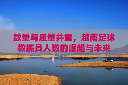 数量与质量并重,越南足球教练员人数的崛起与未来