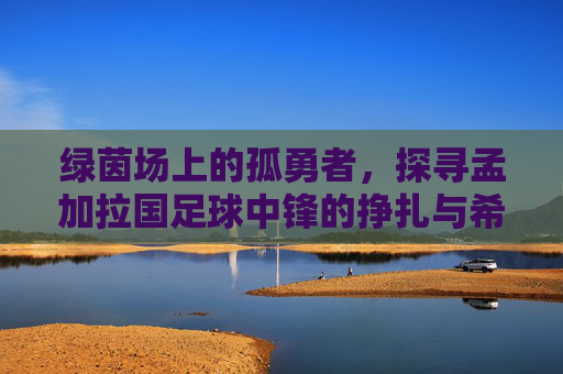 绿茵场上的孤勇者,探寻孟加拉国足球中锋的挣扎与希望