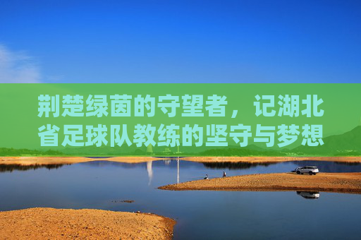 荆楚绿茵的守望者,记湖北省足球队教练的坚守与梦想