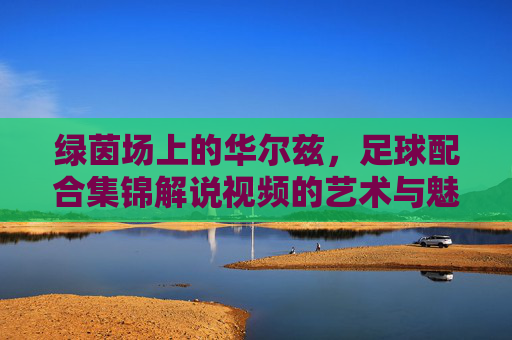 绿茵场上的华尔兹,足球配合集锦解说视频的艺术与魅力