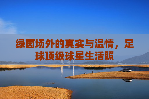 绿茵场外的真实与温情,足球顶级球星生活照