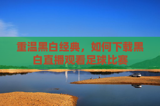 重温黑白经典,如何下载黑白直播观看足球比赛