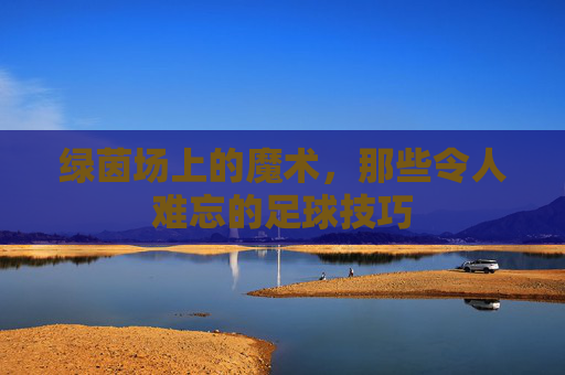绿茵场上的魔术,那些令人难忘的足球技巧