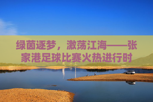 绿茵逐梦,激荡江海——张家港足球比赛火热进行时