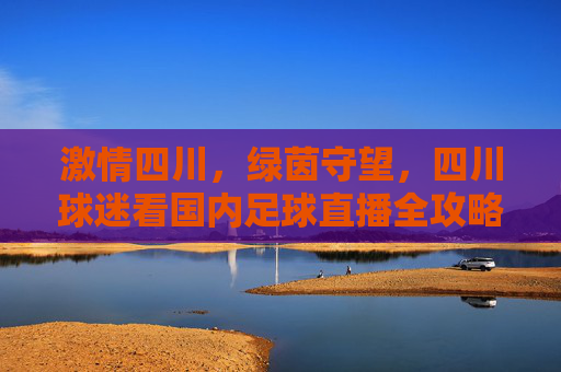 激情四川,绿茵守望,四川球迷看国内足球直播全攻略