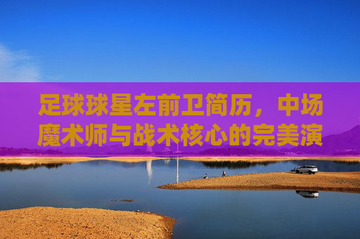 足球球星左前卫简历,中场魔术师与战术核心的完美演绎