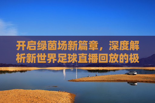 开启绿茵场新篇章,深度解析新世界足球直播回放的极致体验