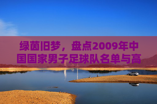 绿茵旧梦，盘点2009年中国国家男子足球队名单与高洪波时代