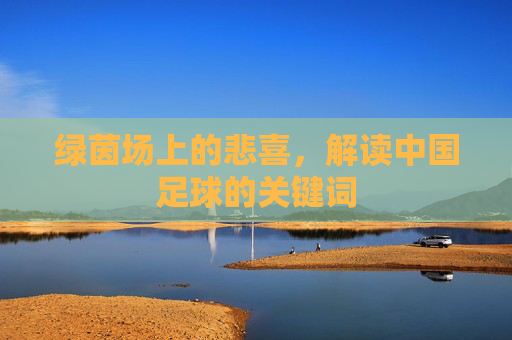 绿茵场上的悲喜，解读中国足球的关键词