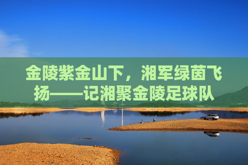 金陵紫金山下,湘军绿茵飞扬——记湘聚金陵足球队