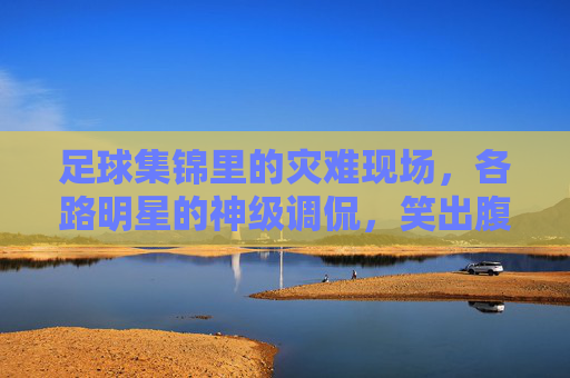 足球集锦里的灾难现场,各路明星的神级调侃,笑出腹肌!