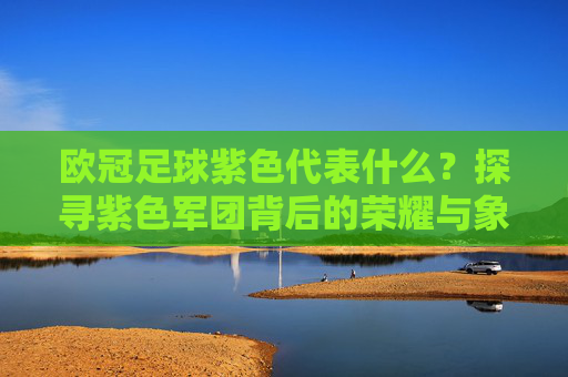 欧冠足球紫色代表什么？探寻紫色军团背后的荣耀与象征