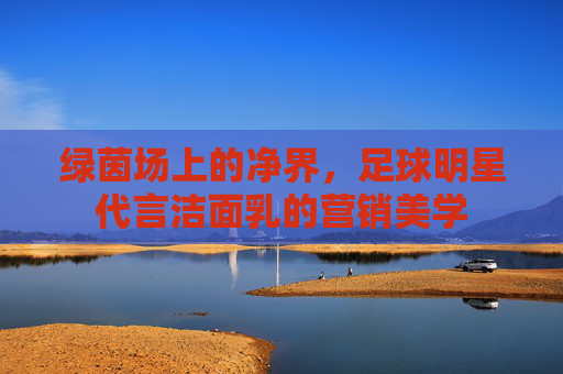 绿茵场上的净界，足球明星代言洁面乳的营销美学