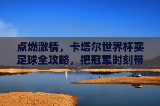 点燃激情,卡塔尔世界杯买足球全攻略,把冠军时刻带回家