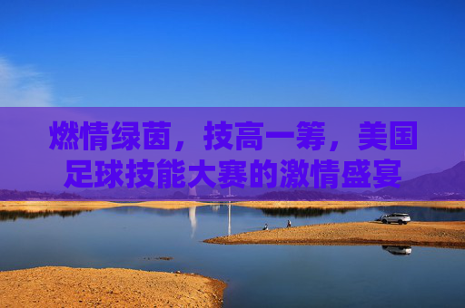 燃情绿茵，技高一筹，美国足球技能大赛的激情盛宴
