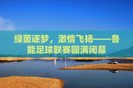 绿茵逐梦，激情飞扬——鲁能足球联赛圆满闭幕
