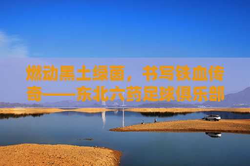 燃动黑土绿茵,书写铁血传奇——东北六药足球俱乐部纪实