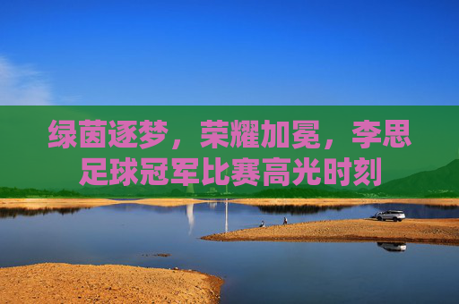 绿茵逐梦,荣耀加冕,李思足球冠军比赛高光时刻