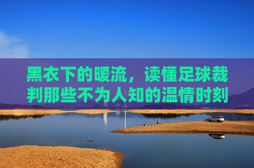 黑衣下的暖流,读懂足球裁判那些不为人知的温情时刻