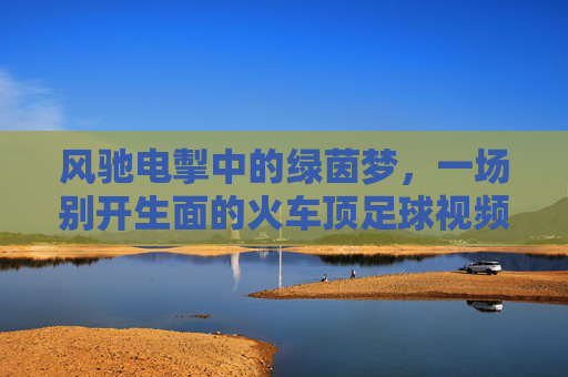 风驰电掣中的绿茵梦,一场别开生面的火车顶足球视频直播