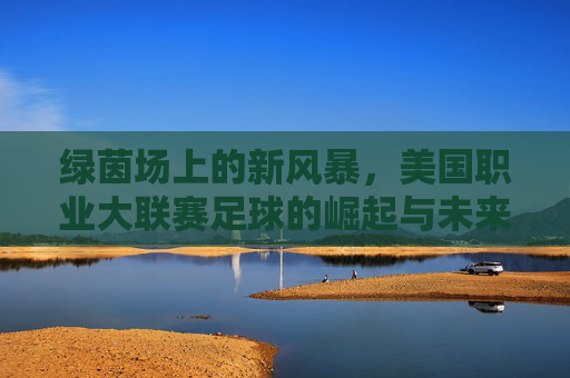 绿茵场上的新风暴,美国职业大联赛足球的崛起与未来