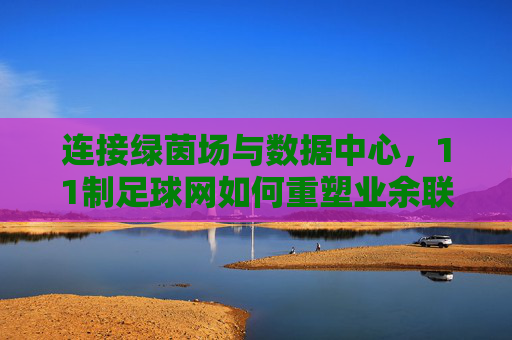 连接绿茵场与数据中心,11制足球网如何重塑业余联赛体验