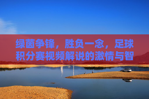 绿茵争锋,胜负一念,足球积分赛视频解说的激情与智慧