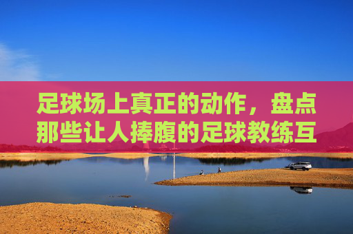 足球场上真正的动作,盘点那些让人捧腹的足球教练互相吵架视频