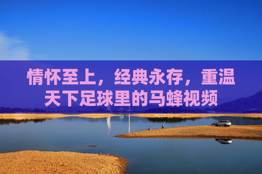 情怀至上,经典永存,重温天下足球里的马蜂视频