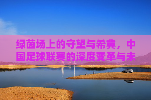 绿茵场上的守望与希冀,中国足球联赛的深度变革与未来展望
