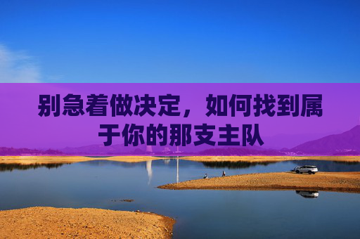 别急着做决定,如何找到属于你的那支主队