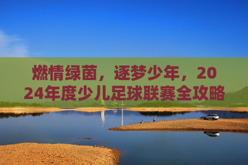 燃情绿茵,逐梦少年,2024年度少儿足球联赛全攻略