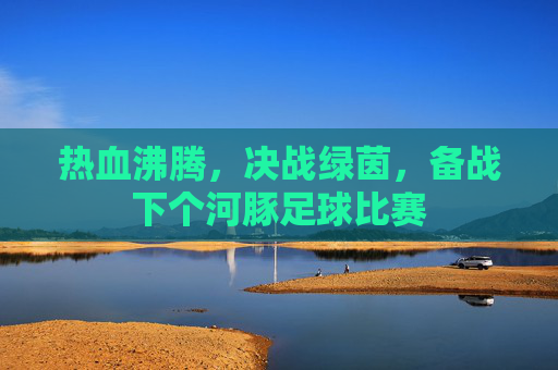 热血沸腾,决战绿茵,备战下个河豚足球比赛