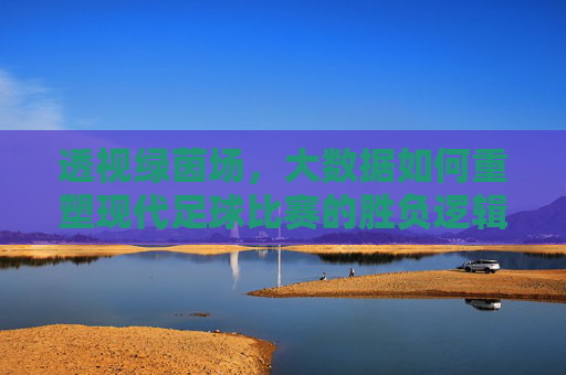 透视绿茵场,大数据如何重塑现代足球比赛的胜负逻辑