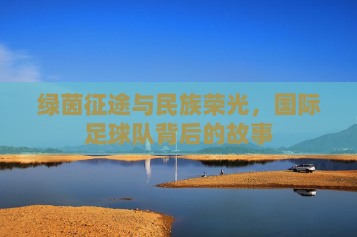 绿茵征途与民族荣光,国际足球队背后的故事