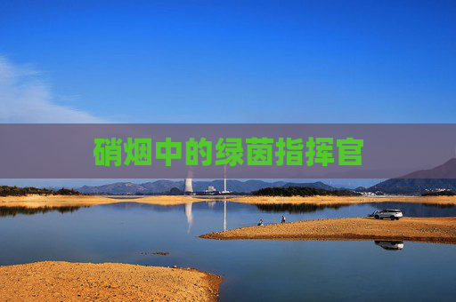 硝烟中的绿茵指挥官
