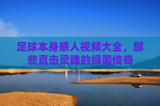 足球本身感人视频大全,那些直击灵魂的绿茵传奇