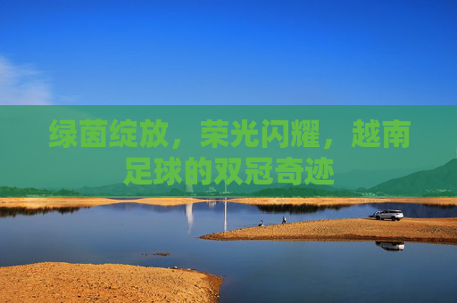 绿茵绽放,荣光闪耀,越南足球的双冠奇迹