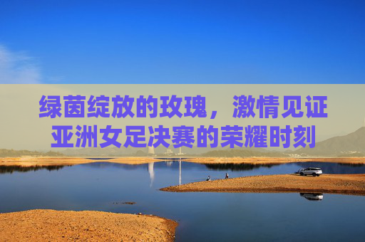 绿茵绽放的玫瑰，激情见证亚洲女足决赛的荣耀时刻