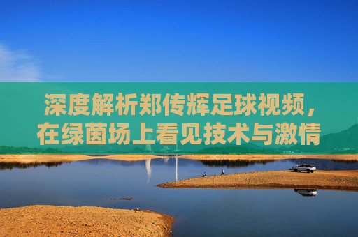 深度解析郑传辉足球视频,在绿茵场上看见技术与激情的碰撞