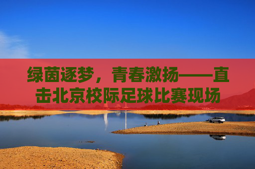 绿茵逐梦,青春激扬——直击北京校际足球比赛现场