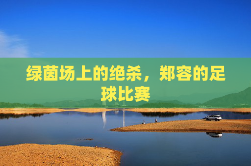 绿茵场上的绝杀,郑容的足球比赛