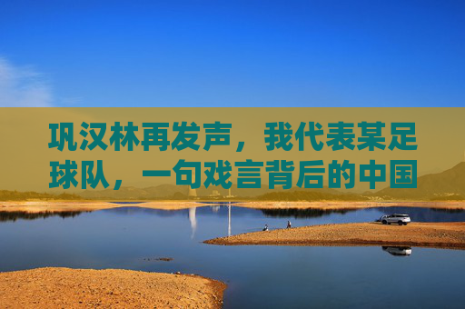 巩汉林再发声,我代表某足球队,一句戏言背后的中国足球之痛
