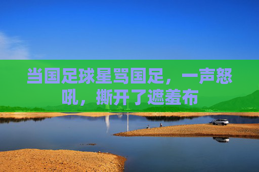 当国足球星骂国足,一声怒吼,撕开了遮羞布
