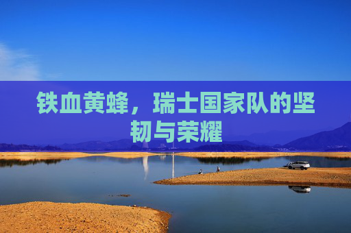 铁血黄蜂,瑞士国家队的坚韧与荣耀