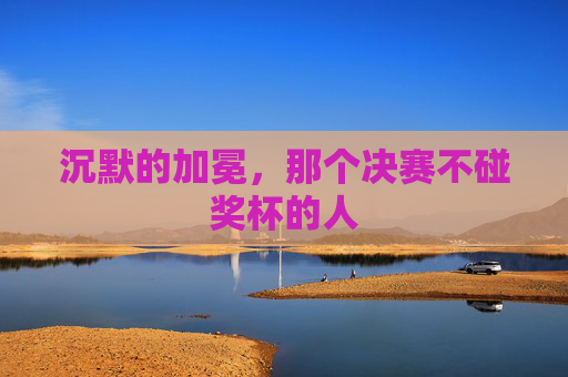 沉默的加冕,那个决赛不碰奖杯的人