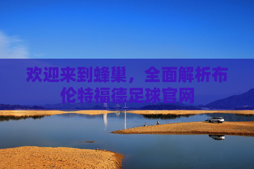 欢迎来到蜂巢,全面解析布伦特福德足球官网